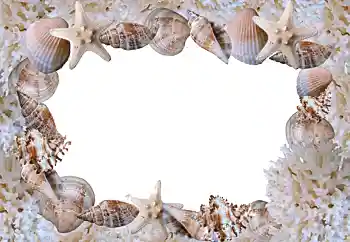 Fotoeffekt fra kategori Sommer № 88088