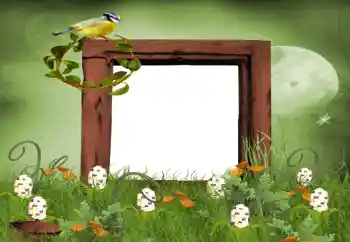 Fotoeffekt fra kategori Sommer № 9650