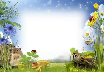 Fotoeffekt fra kategori Sommer № 97486