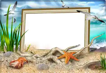 Fotoeffekt fra kategori Sommer № 97613