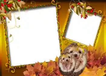 Fotoeffekt fra kategori Høst № 1006