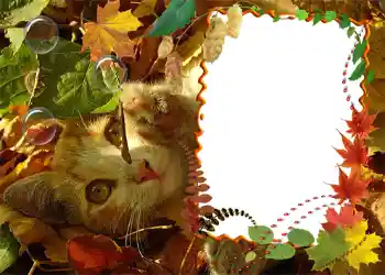 Fotoeffekt fra kategori Høst № 1020