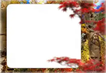 Fotoeffekt fra kategori Høst № 127331 Fotoeffekt fra kategori Høst № 127331