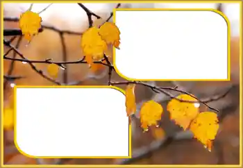 Fotoeffekt fra kategori Høst № 145075 Fotoeffekt fra kategori Høst № 145075