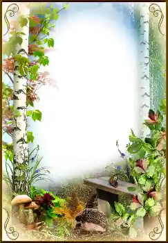 Fotoeffekt fra kategori Høst № 1542 Fotoeffekt fra kategori Høst № 1542