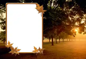 Fotoeffekt fra kategori Høst № 166423 Fotoeffekt fra kategori Høst № 166423