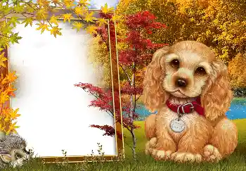 Fotoeffekt fra kategori Høst № 190594