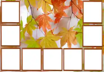 Fotoeffekt fra kategori Høst № 195267 Fotoeffekt fra kategori Høst № 195267