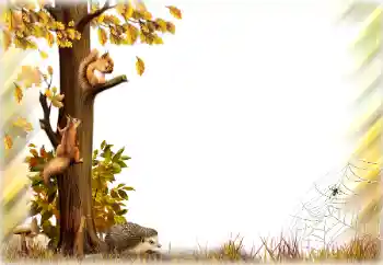 Fotoeffekt fra kategori Høst № 196642