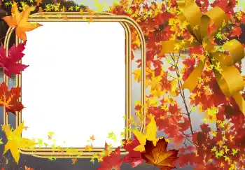Fotoeffekt fra kategori Høst № 2015 Fotoeffekt fra kategori Høst № 2015