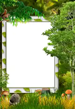 Fotoeffekt fra kategori Høst № 34731