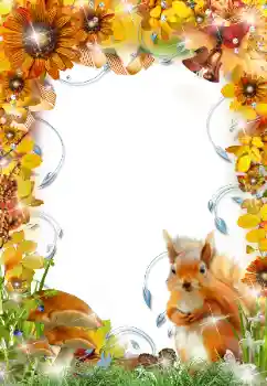 Fotoeffekt fra kategori Høst № 34732