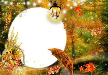 Fotoeffekt fra kategori Høst № 35073