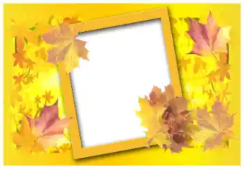 Fotoeffekt fra kategori Høst № 58883