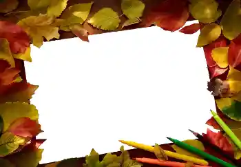 Fotoeffekt fra kategori Høst № 81689