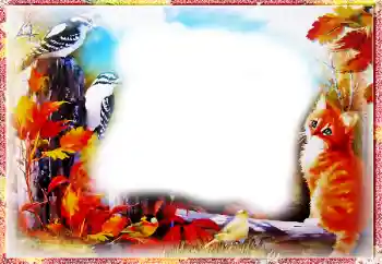 Fotoeffekt fra kategori Høst № 86557