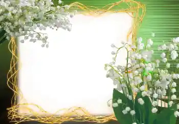 Fotoeffekt fra kategori Vår № 113120