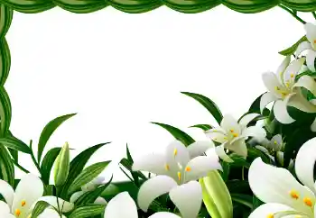 Fotoeffekt fra kategori Vår № 113129