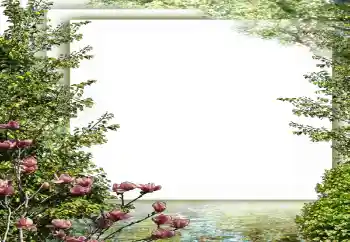 Fotoeffekt fra kategori Vår № 149187