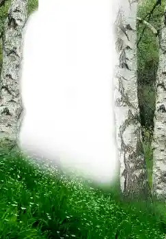 Fotoeffekt fra kategori Vår № 149305