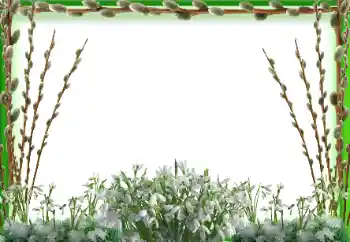 Fotoeffekt fra kategori Vår № 197647