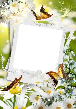 Fotoeffekt fra kategori Vår № 4611