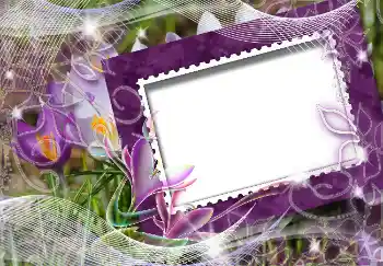 Fotoeffekt fra kategori Vår № 4618