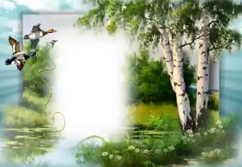 Fotoeffekt fra kategori Vår № 49552