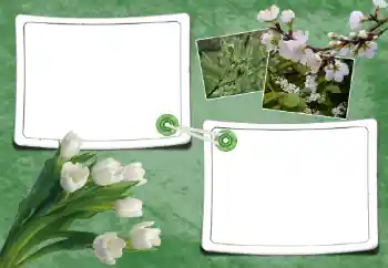 Fotoeffekt fra kategori Vår № 93095