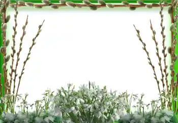 Fotoeffekt fra kategori Vår № 94595