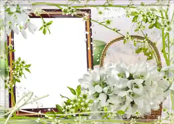 Fotoeffekt fra kategori Vår № 980