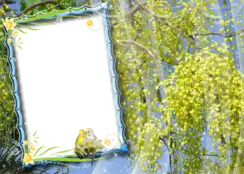 Fotoeffekt fra kategori Vår № 981