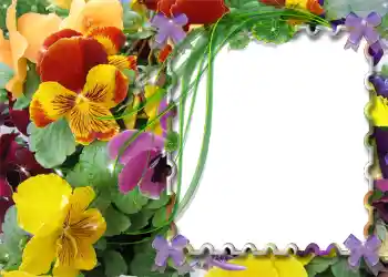 Fotoeffekt fra kategori Vår № 983