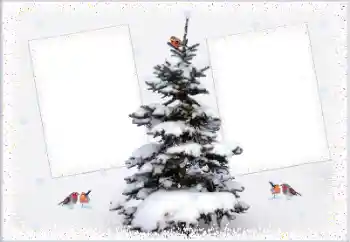 Fotoeffekt fra kategori Vinter № 105223