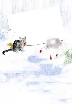 Fotoeffekt fra kategori Vinter № 105450