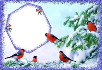 Fotoeffekt fra kategori Vinter № 105588