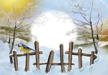 Fotoeffekt fra kategori Vinter № 110837