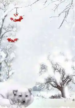 Fotoeffekt fra kategori Vinter № 111870