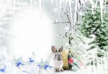 Fotoeffekt fra kategori Vinter № 128650