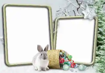 Fotoeffekt fra kategori Vinter № 148975