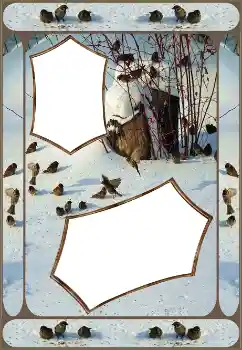 Fotoeffekt fra kategori Vinter № 151645 Fotoeffekt fra kategori Vinter № 151645