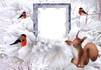 Fotoeffekt fra kategori Vinter № 160607 Fotoeffekt fra kategori Vinter № 160607