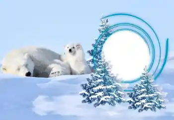 Fotoeffekt fra kategori Vinter № 163218 Fotoeffekt fra kategori Vinter № 163218