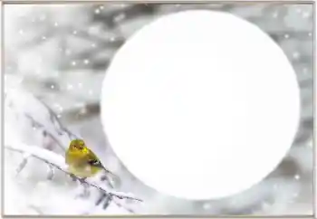 Fotoeffekt fra kategori Vinter № 163334 Fotoeffekt fra kategori Vinter № 163334