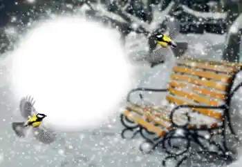 Fotoeffekt fra kategori Vinter № 191760