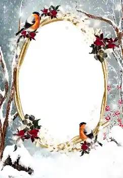 Fotoeffekt fra kategori Vinter № 3374 Fotoeffekt fra kategori Vinter № 3374