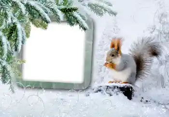 Fotoeffekt fra kategori Vinter № 3375 Fotoeffekt fra kategori Vinter № 3375