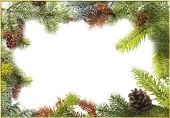 Fotoeffekt fra kategori Vinter № 3395 Fotoeffekt fra kategori Vinter № 3395