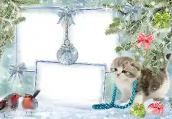 Fotoeffekt fra kategori Vinter № 38960 Fotoeffekt fra kategori Vinter № 38960