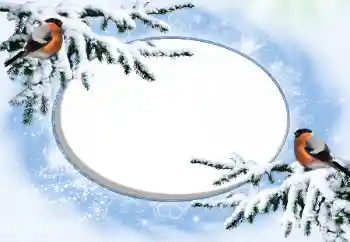 Fotoeffekt fra kategori Vinter № 42676